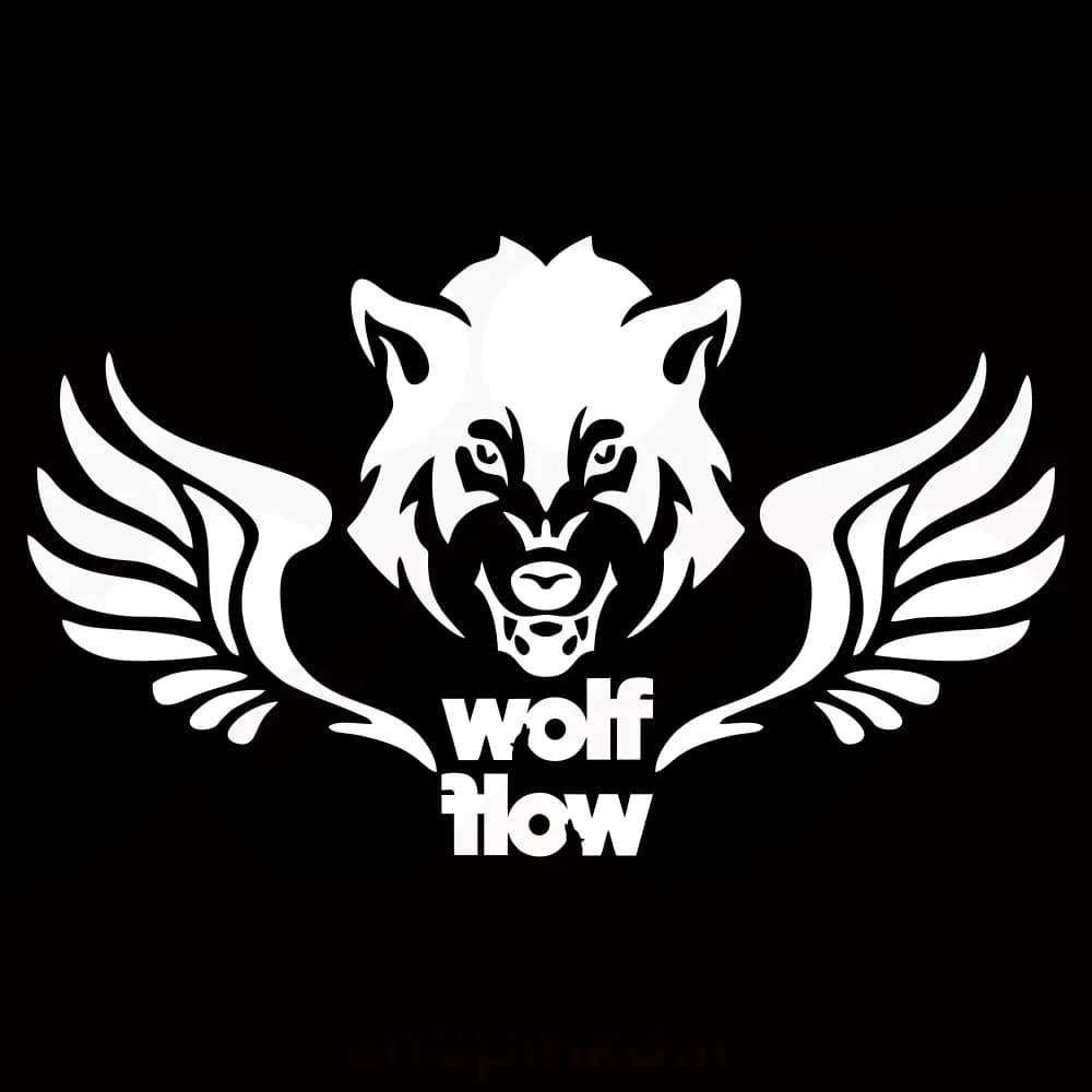 برچسب ماشین طرح بال و گرگ