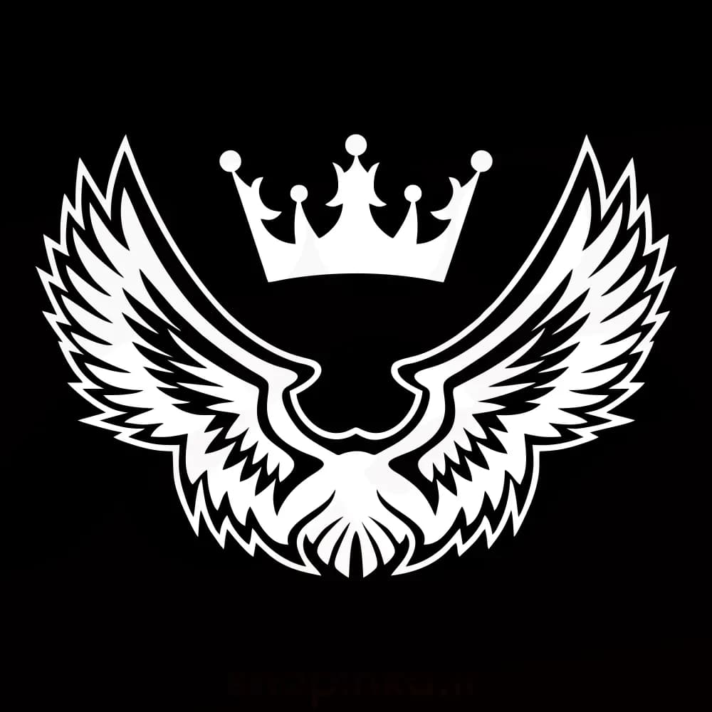 برچسب ماشین طرح بال و تاج